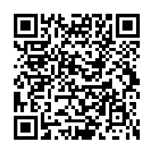 如果这次武帝洞府没有获得增加寿命的东西的话二维码生成