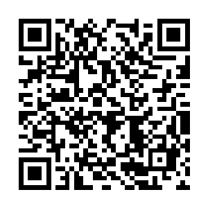 如果这种濒临灭绝的生物又有一条死在我们的手里二维码生成