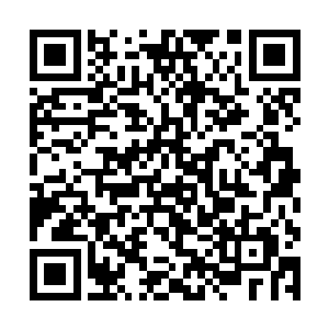 如果连这种明显损失他们身体健康的合法权益的事情二维码生成