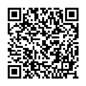 如果那个姓秦的锦衣卫北镇抚司掌印官还不发动二维码生成