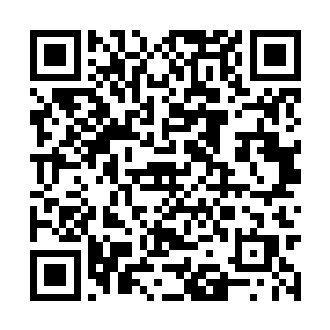 如果那个弟子背后的大宗门敢于破坏这种默契规则二维码生成