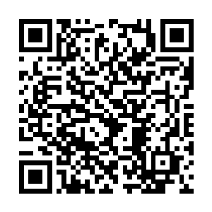 如果长大以后愿意战斗的我们在伊拉克有安保公司二维码生成