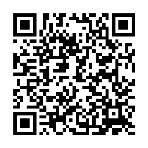 如果陆为民只是批评自己工作作风有问题倒也简单了二维码生成