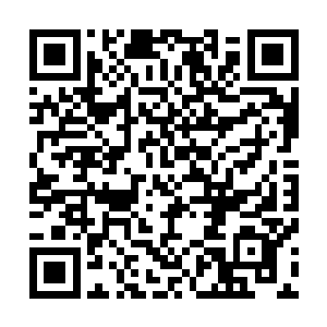 如果非要说个有动机的人……我猜……我真的只是猜测……二维码生成