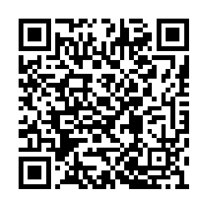 如此一来显然拍卖会上的东西赫然是磨山四怪的二维码生成