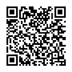 如此以后也就不会有百族修士拿此时来羞辱雨族了二维码生成