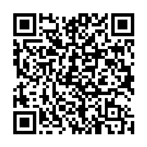 如此信息中心监测也只会认为她一直都在自己的分管土地上二维码生成