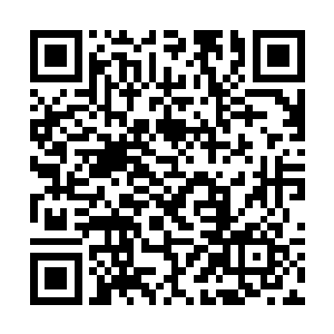 如此劲爆的消息其实已经快速传遍了整个黑龙司上下二维码生成