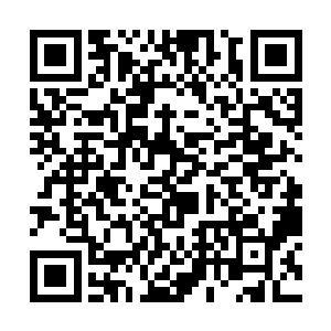 如此安排倒也不全是出于燕国公和幽国公两系的私心二维码生成