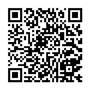 如此庞大恐怖的信息量让代离有种灵魂要被撑爆的感觉二维码生成