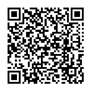 如此庞大的财物被荒古死地入口的守卫发现了的话将会给自己带来大麻烦二维码生成