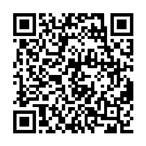 如此心情低落的燕山魂连要赌注的心情都没有了二维码生成