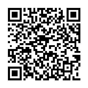 如此我也就可以放心地去过向往中的逍遥生活了二维码生成