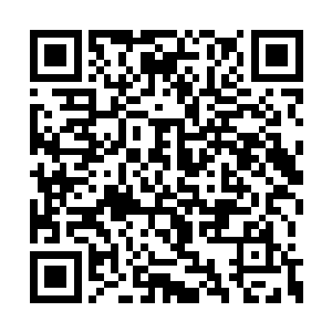 如此近距离面对周天和周元两位天仙的全力一击二维码生成