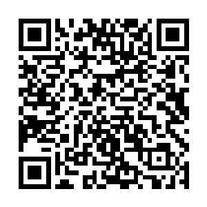 如此这个修士便会得到千连胜的牌子和一亿上品仙晶二维码生成