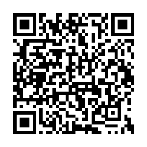 如盘古族这样需要寒冷空气和低重力的庞然大物二维码生成