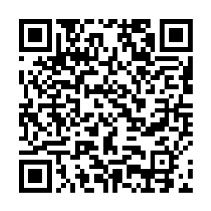如秋风扫落叶般将所有侵蚀着老人身体的病毒一一杀灭二维码生成