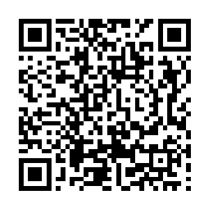 妖主和魁天不声不响地突破到了圣级九层初期巅峰二维码生成