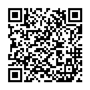 妖主等上元大陆的圣级修士一个个紧咬牙关坚持着二维码生成