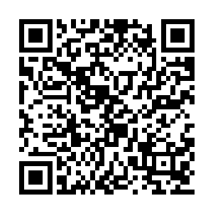 妖仙盟和万珍商会是否也有前辈高人曾来过此地二维码生成
