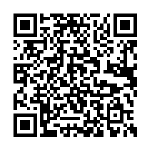 妖兽基本上感觉到小宝的气息之后也会退避三舍二维码生成