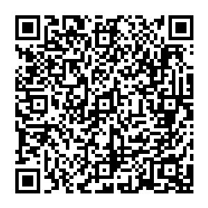 妖军举着重盾抵御依旧从上方不时挥洒下来的火雨开始奋力突破人流提着水桶突入城市的中心地带二维码生成