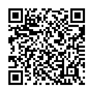 妞妞这辈子最倒霉的就是遇上这对不靠谱的父母了二维码生成