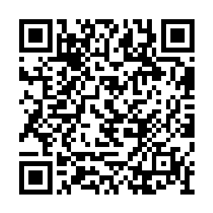 妮娜倒不会因此觉得克拉耶丝的感情虚伪什么的二维码生成