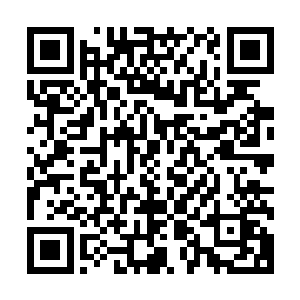 妮娜十动然拒了白兰的自荐――气鼓鼓的白兰就算再可爱可怜二维码生成