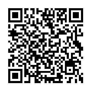 妮娜在神奈川的第一天就这样波澜不惊的过去了二维码生成