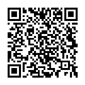 妮娜觉得自己能从来者的表情中读到这样的话语二维码生成