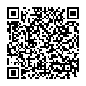 妮娜迈着猫步走出去觅食的时候她的那份早餐还好好的摆在餐厅等着她二维码生成