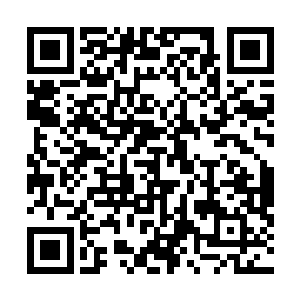 妮娜都能感觉到他彷如实质一样的视线时不时的扫过自己二维码生成
