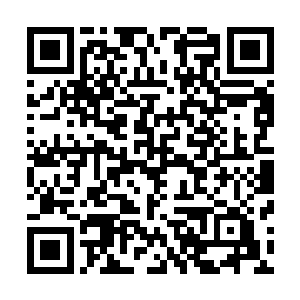 妹妹活泼机灵都能说明成长的岁月里每个人都有不同的轨迹二维码生成