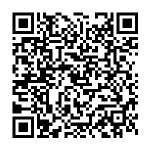 始终没有泄露身份的徐凤年在收到海东青飞速传递来的一份谍报后二维码生成