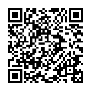 姐夫……总之一大家子人都往村里的赤脚医生家围了去二维码生成