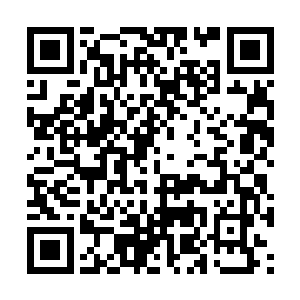 姐姐格蕾可是继承了父亲格伦全部武道血脉的天才二维码生成