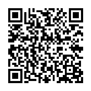 姑且不论你有几分把握可以调查清楚当年的事情二维码生成