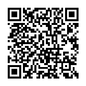 姑姑李秀丽和妈妈朴静慧基本上都是保持着安静二维码生成