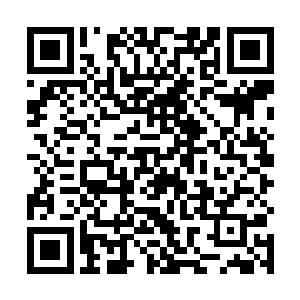 姗姗一出场就成功地将所有人的视线都集中在她的身上二维码生成