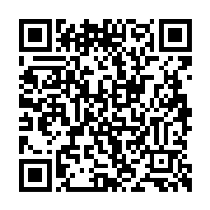 姜孚勇看着身后那一只白色的浑身是褶皱的东西二维码生成