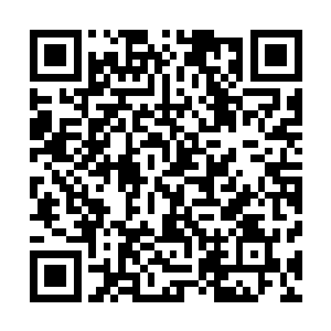 姜蓝梦应该跟蓝家有血缘关系……这些我们需要进一步查证二维码生成