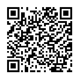 姜还是老的辣这一来整个南沧郡的酒业都与我家捆绑在一起二维码生成