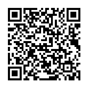 姜阳勋也快刀斩乱麻的让人见识到了何为尸山血海二维码生成