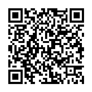 姥姥的现在还可以拉上两支球队过来踢场正式比赛二维码生成