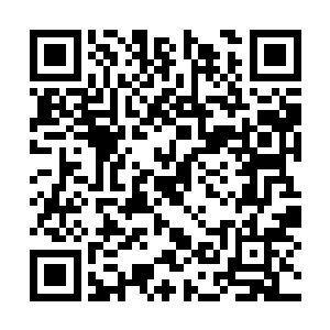 姬昊辰本身不知道用了什么秘法与朱雪竹生命相连二维码生成