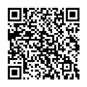 威塔工作室为号角堡制作的新大门终于运了过来二维码生成