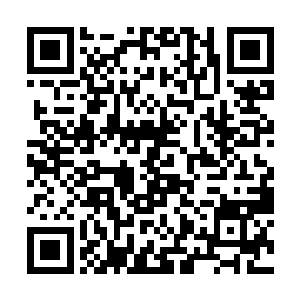 威塔工作室的技术人员还要为杜克做最后的技术准备二维码生成