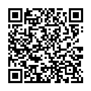 威尼斯电影节在美国地区的关注度并不是那么高二维码生成