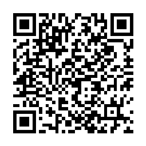 威能堪比地尊中期的气剑像是不费力一般地连续地释放二维码生成